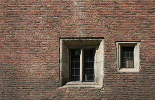 brick, day, eye level view, sunny, texture, wall, window