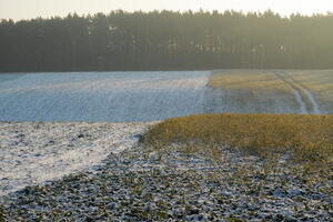 Poland, Wielkopolskie