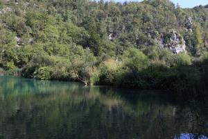 bush, Croatia, day, eye level view, forest, Karlovacka, lake, mountain, tree, vegetation