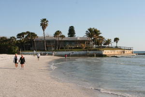 beach, day, eye level view, Florida, group, palm, pier, Sarasota, seascape, sunny, sunshine, The United States, walking, winter