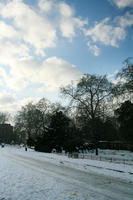 ambient light, Battersea park, day, diffuse, diffused light, England, eye level view, London, natural light, park, snow, The United Kingdom, track, tree, vegetation, winter