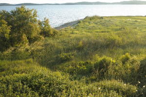 Croatia, day, elevated, shrubland, Splitsko-Dalmatinska, spring, Sukosan, sunny