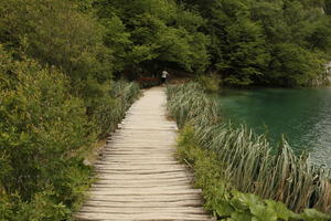 bridge, Croatia, day, decking, diffuse, diffused light, eye level view, Karlovacka, natural light, reed, shrub, summer, woodland