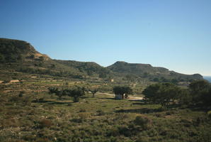 Calpe, day, elevated, greenery, shrubland, Spain, sunny, tree, Valenciana