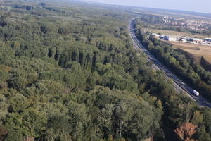 aerial view, Austria, day, forest, natural light, road, vegetation, Vienna, Wien