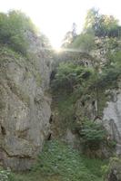 Croatia, day, eye level view, Karlovacka, mountain, sunny, tree, vegetation