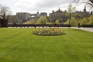 afternoon, day, Edinburgh, eye level view, flower, garden, grass, natural light, park, Scotland, spring, The United Kingdom