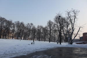 afternoon, day, deciduous, diffuse, diffused light, eye level view, natural light, park, Poland, Poznan, snow, tree, Wielkopolskie