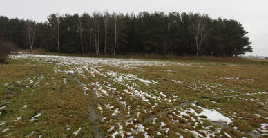 day, diffuse, diffused light, eye level view, field, Kopanica, Poland, snow, treeline, Wielkopolskie, winter