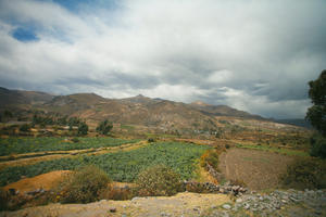 Arequipa, Arequipa, autumn, day, elevated, moorland, natural light, Peru, tree, valley, Valley of Volcanoes, vegetation