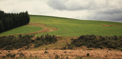 day, diffuse, diffused light, eye level view, field, hill, natural light, New Zealand, overcast, shrubland, summer