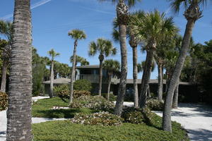 bush, day, drive, eye level view, Florida, garden, palm, Sarasota, sunny, sunshine, The United States, villa, winter