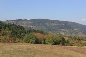 Croatia, day, eye level view, field, grass, Karlovacka, sunny, tree, woodland