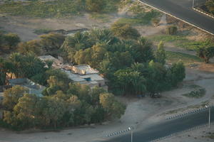 aerial view, building, dusk, East Timor, Egypt, Egypt, palm, tree, vegetation