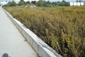 autumn, Croatia, day, eye level view, shrubland, sunny, Zadar, Zadarska