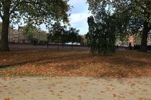 afternoon, autumn, Battersea park, day, England, eye level view, leaf, London, park, sunny, The United Kingdom, tree