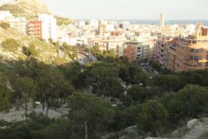 Alicante, cityscape, dusk, elevated, Spain, tree, Valenciana, vegetation