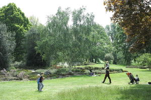 birch, child, day, England, eye level view, family, garden, natural light, park, The United Kingdom, tree, walking, Woking