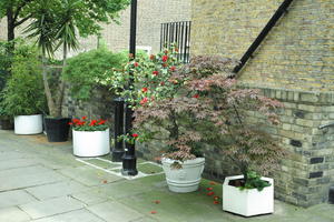 day, England, eye level view, flower, London, overcast, pod, spring, street, The United Kingdom, urban, vegetation