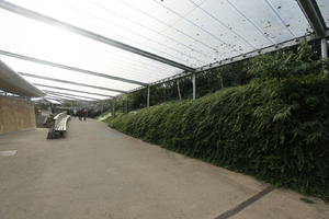 autumn, ceiling, day, diffuse, diffused light, Eden Project, England, eye level view, garden, glass, hedge, path, The United Kingdom