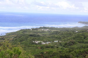 Barbados, day, elevated, natural light, seascape, spring, tropical, vegetation, woodland