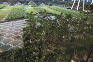 Bangkok, day, elevated, garden, grass, Krung Thep Mahanakhon, potted plant, sunny, Thailand