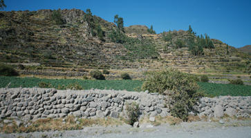 Arequipa, Arequipa, autumn, day, eye level view, mountain, natural light, Peru, sunny, tree, vegetation