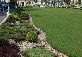 Bangkok, bush, day, eye level view, flowered bush, garden, grass, Krung Thep Mahanakhon, shrub, summer, sunny, Thailand