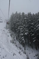 Bulgaria, day, elevated, mountain, overcast, pine, ski lift, slope, snow, tree, winter