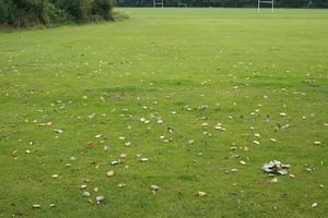 day, England, field, grass, London, lowered, natural light, The United Kingdom, vegetation