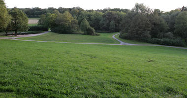 autumn, Bielefeld, broad-leaf tree, broad-leaved tree, day, Deutschland, diffuse, diffused light, eye level view, grass, natural light, Nordrhein-Westfalen, park, tree