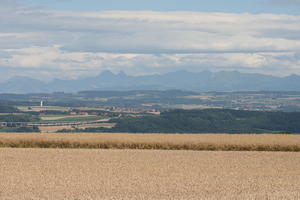 crop, day, eye level view, field, Lausanne, mountain, natural light, summer, sunny, Switzerland, tree, Vaud, vegetation