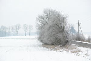 Poland, Wielkopolskie