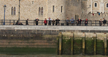 autumn, day, diffuse, diffused light, England, eye level view, group, London, people, river, riverbank, standing, The United Kingdom