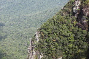 day, elevated, forest, Kedah, Malaysia, mountain, sunny, vegetation