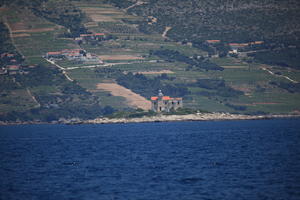 coastline, Croatia, day, eye level view, seascape, summer, tree, vegetation