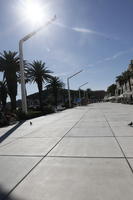 Croatia, day, eye level view, lamppost, lowered, palm, pavement, Phoenix canariensis, Split, Splitsko-Dalmatinska, summer, summer, sunny