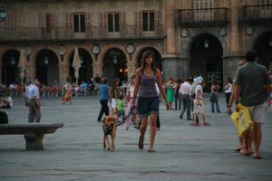 animal, Castilla y Leon, casual, day, dog, eye level view, group, people, plaza, Salamanca, Spain, summer, summer, sunlight, sunny, sunshine, walking, woman