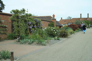 bush, day, England, eye level view, garden, natural light, park, plant, The United Kingdom, Woking