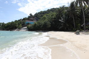 beach, day, eye level view, Ko Phi Phi Don, Krabi, natural light, palm, sunbed, sunny, Thailand, tree, vegetation