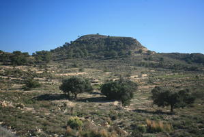 Calpe, day, elevated, greenery, shrubland, Spain, sunny, tree, Valenciana