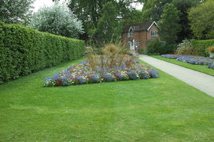 day, England, eye level view, flower, garden, grass, natural light, park, The United Kingdom, Woking