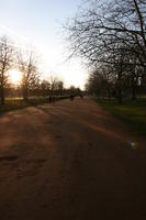 bright, dusk, England, eye level view, Oxford, park, path, The United Kingdom, tree, vegetation, winter