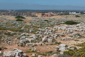 day, eye level view, Faro, Faro, flower, greenery, open space, path, Portugal, rock, rockery, rocks, seascape, shrub, summer, sunlight, sunny, vegetation, waterfront