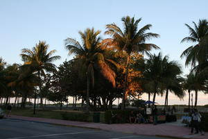 dusk, eye level view, Florida, Miami, palm, park, The United States, winter