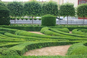 bush, Castres, day, eye level view, France, garden, hedge, Midi-Pyrenees, natural light, park, summer, tree