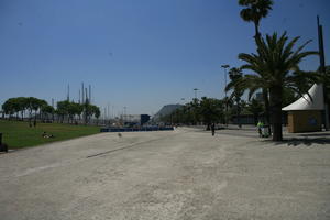 city, day, direct sunlight, eye level view, pavement, spring, sunny, sunshine, urban