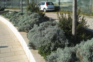 above, afternoon, car, Croatia, day, elevated, natural light, plant, plaza, shrub, spring, sunlight, sunny, vegetation