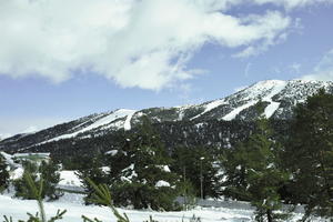 coniferous, day, evergreen, eye level view, France, Greolieres, mountain, Provence Alpes Cote D