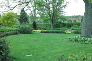 day, England, eye level view, garden, grass, natural light, park, plant, The United Kingdom, Woking